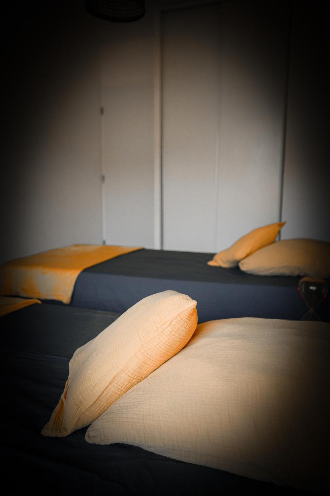 Bel Appartement Climatise & Parking Περπινιάν Εξωτερικό φωτογραφία